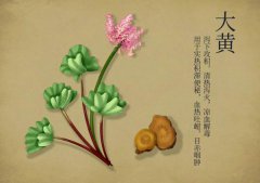 中藥界的CP，十組對(duì)藥應(yīng)用技巧
