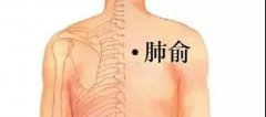 秋后的蘿卜賽人參！最推薦的吃法是它，這樣搭配效果更佳，可別吃